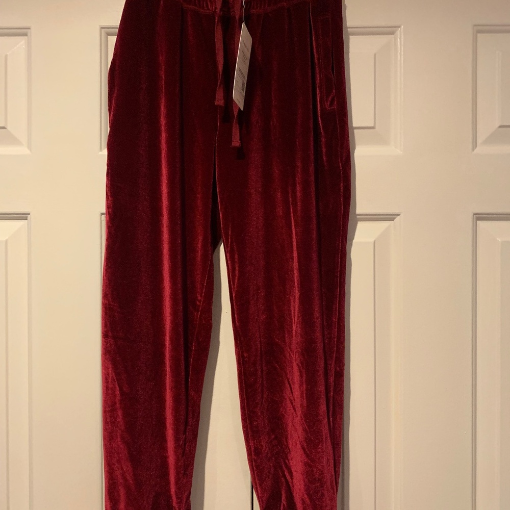 Velvet joggers